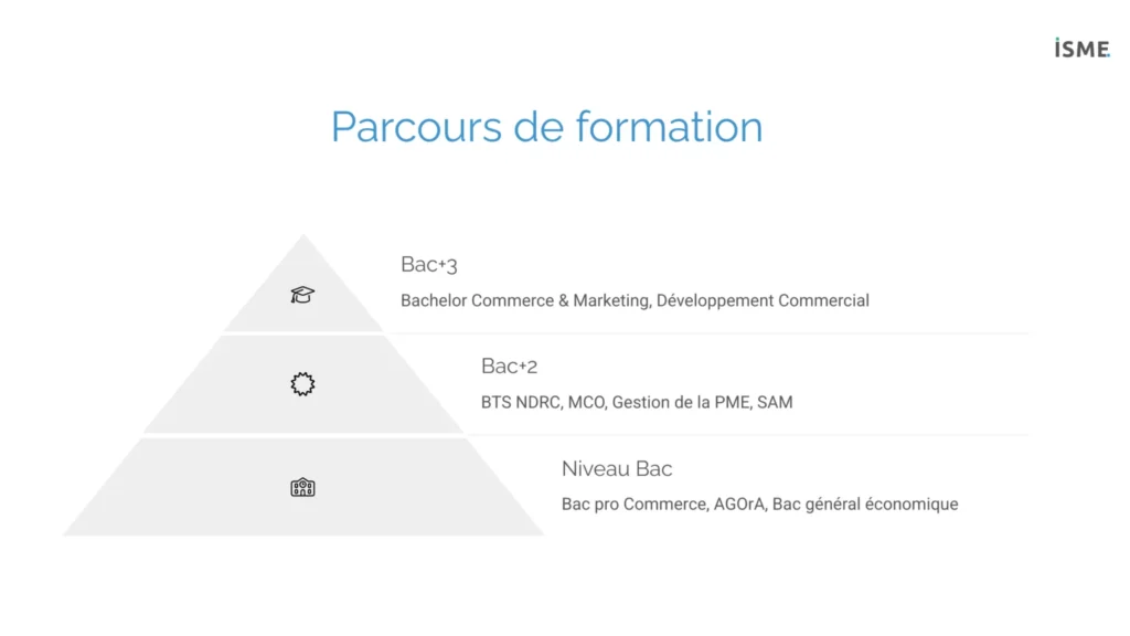 Une infographie qui montre le parcours de formation d'un assistant commercial