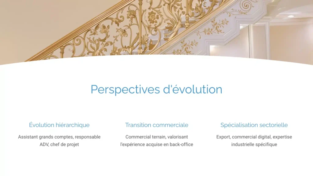 Une infographie qui montre les perspectives d'évolution d'un assistant commercial