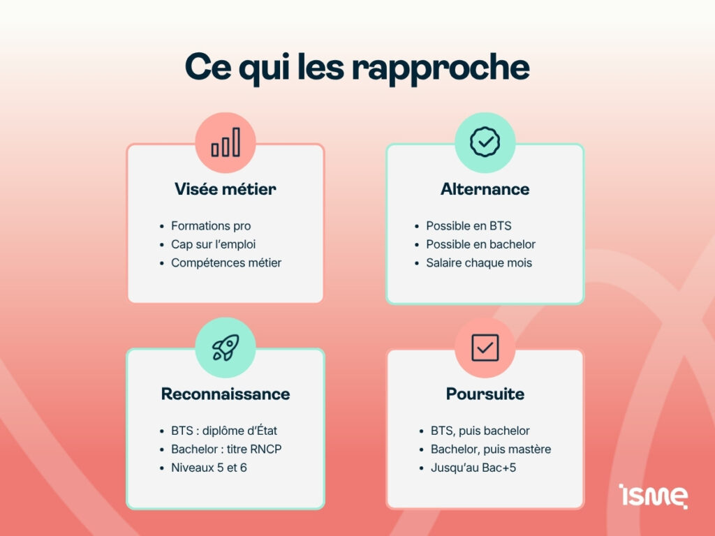 Les points communs du BTS et du bachelor : visée métier, alternance possible, diplôme reconnu et poursuite d'études