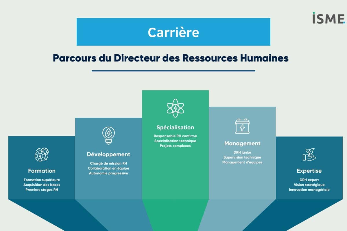 Schéma illustrant le parcours de carrière et les perspectives d'évolution pour un DRH